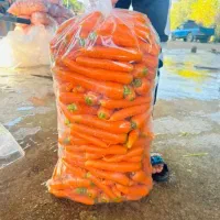 پیاز. وسیب زمینی ارزان‌تر از همه جا|عمده‌فروشی|تهران, منیریه|دیوار