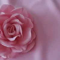 نیروی خدمات دفتر کار