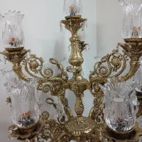کنار سالونی ابکاری 10شاخه