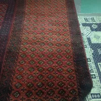 قالی|فرش|مشهد, طلاب|دیوار