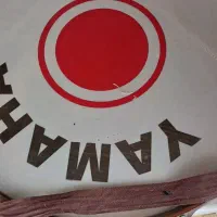 طبل سالم در حد نو|درام و پرکاشن|قم, محمد آباد|دیوار