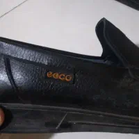 یک جفت کفش کالج مارک oco