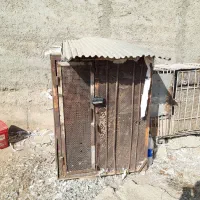 قفس کبوتر|لوازم جانبی حیوانات|هشتگرد, شهرک اداری|دیوار