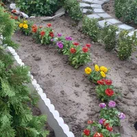 باغبانی هرس گل درخت چمن کاری سمپاشی کود باضمانت|خدمات باغبانی و درختکاری|کرج, گلشهر|دیوار