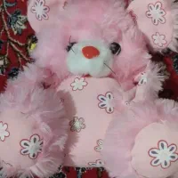 تعدادی عروسک