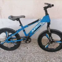 دچرخه 20 دسته 2