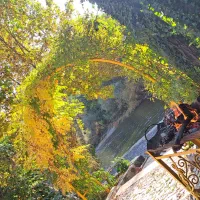 اجاره-ویلا-باغ-لب-آب-باغبهادران-باغ-بهادران