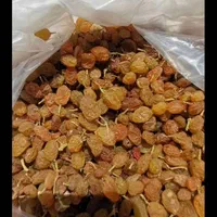 فروش انواع کشمش ، خریدار انواع کشمش