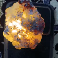 شجر برفی|کلکسیون اشیاء عتیقه|آیسک, |دیوار