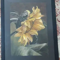 تابلو نقاشی گل آفتابگردان