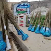 توزیع انواع نهال صنوبر سفید ترکیه، نگرا، کبوده و|خدمات باغبانی و درختکاری|شهرکرد, |دیوار