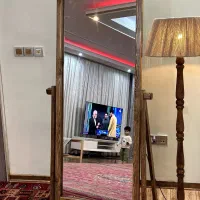 آینه قدی ودرختچه مصنوعی