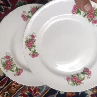دوست نعلبکی و چندتا بشقاب چینی