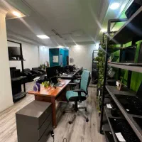 حسابدار خانم مسلط به سپیدار