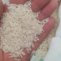 برنج فجر|خوردنی و آشامیدنی|پاکدشت, شهرک انقلاب|دیوار