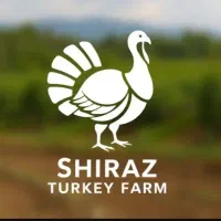 بوقلمون نژاد  برنز انگلیس