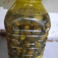 خیارشورکیلو ۴۰ هزار|خوردنی و آشامیدنی|شیراز, گلدشت معالی‌آباد|دیوار