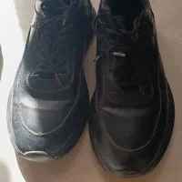 چهار جفت کفش کاملا نو|کیف، کفش، کمربند|پرند, فاز ۵|دیوار