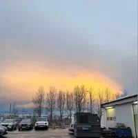 خدمات نظافت