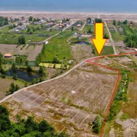 زمین شهرکی در شهرک ساحلی 60 قطعه ای سرمایه گذاری