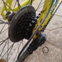 ۱۲ تومن|پرنده|سیرجان, |دیوار