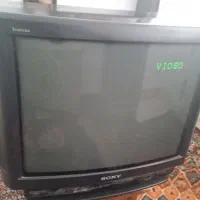 درحت نو|تلویزیون و پروژکتور|ارومیه, |دیوار