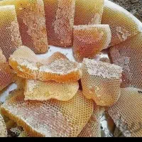 عسل طبیعی خالص|خوردنی و آشامیدنی|سلمان‌شهر, |دیوار