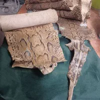 کفش