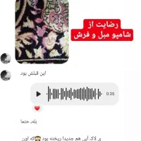 شامپو فرش و مبلمان نانو|مواد شوینده و دستمال کاغذی|ارومیه, |دیوار