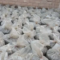 تفاله چغندر|عمدهفروشی|فامنین, |دیوار