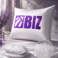 بالشت طبی بیز