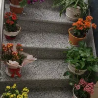 اجاره اپارتمان