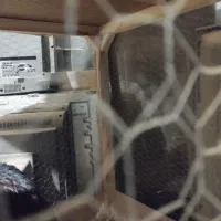 قفس چوبی محکم|لوازم جانبی حیوانات|خرمدره, |دیوار