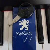 ۲۰۶ تیپ ۶|خودرو سواری و وانت|تهران, پونک|دیوار