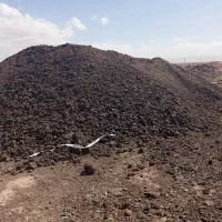 کود مرغی قفسی تخمگذار|خدمات باغبانی و درختکاری|خرمدره, |دیوار