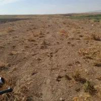 فروش فوری زمین کشاورزی|فروش زمین و ملک کلنگی|کندوان, |دیوار