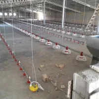 لوازم مرغداری هواکش دانخوری آبخوری پدسلولزی