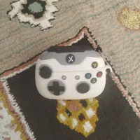 کاور ایرپاد پرو 2