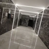 سالاریه کلید نخورده اقاقیا یکجا و تکی