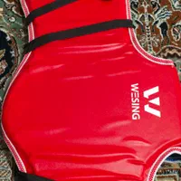 هوگوی رزمی( مخصوص ووشو و کیک بوکس)|تجهیزات ورزشی|رشت, گلسار|دیوار