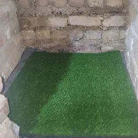 وسایل سگ|لوازم جانبی حیوانات|کلاله, |دیوار