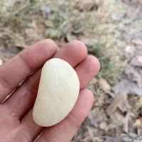 انواع واقسام سنگ|بدلیجات|جازموریان, |دیوار