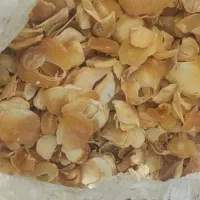 موسیر|خوردنی و آشامیدنی|اصفهان, جلفا|دیوار