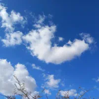 فروش زمین مسکونی تجاری