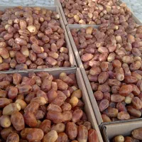 خرمای سوپر لوکس زاهدی آجیلی بوشهر|خوردنی و آشامیدنی|قم, پردیسان|دیوار