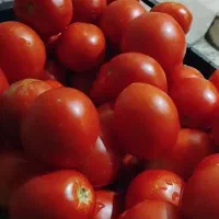 رب گوجه طبیعی|خوردنی و آشامیدنی|اهواز, کوی رمضان|دیوار