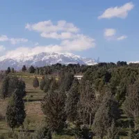 ۷۷ متری ۱ خوابه طبقه ۳ در استقلال پارک پرندگان|فروش آپارتمان|تهران, استقلال|دیوار
