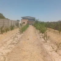 فروش-یک-خانه-باغ-تر-وتمیز-وحصارکشی-شده