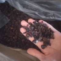 کشمش ازبک با کمترین قیمت 155/000ت