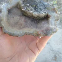 سنگ|کلکسیون اشیاء عتیقه|تهران, بازار|دیوار